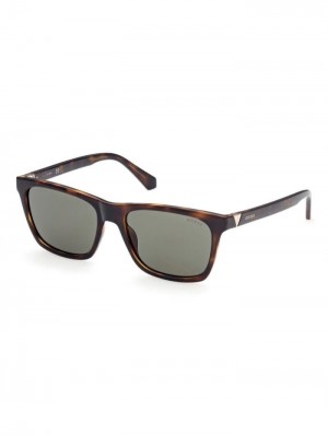 Lentes de Sol Guess Rectangular Hombre Marrom | SE-080004