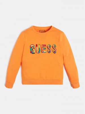 Sudaderas Guess Embroidered Logo Niños Naranjas | SE-026954