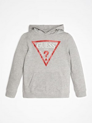 Sudaderas Guess Triangle Logo Hoodie Niños Grises | SE-024063