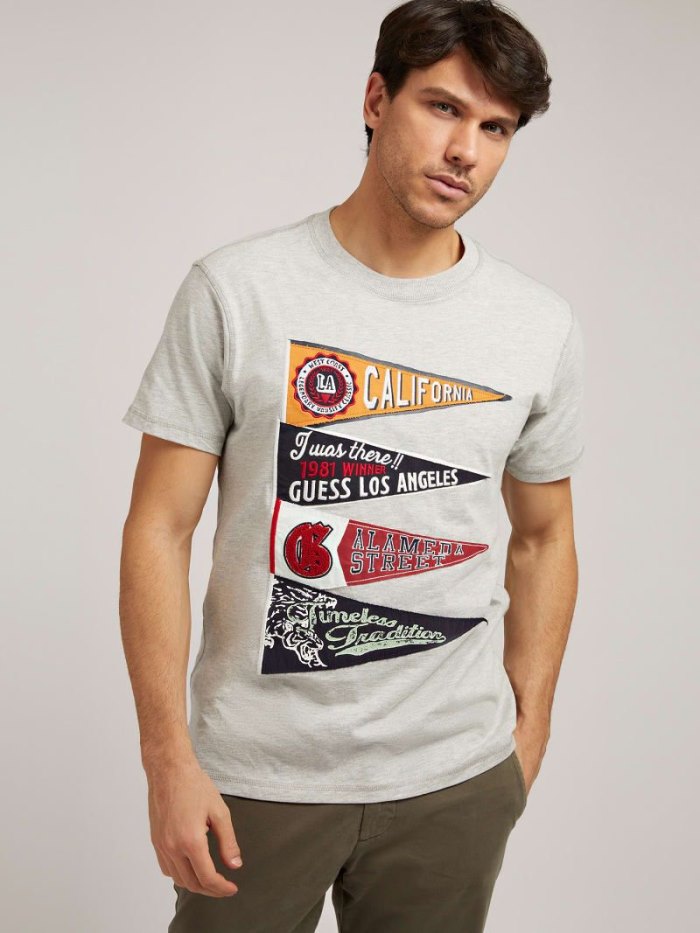 Camiseta Guess Front Print Hombre Grises | SE-389831